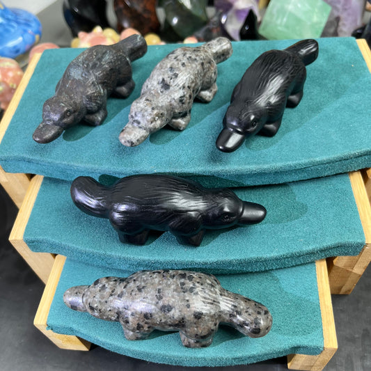 Platypus carvings