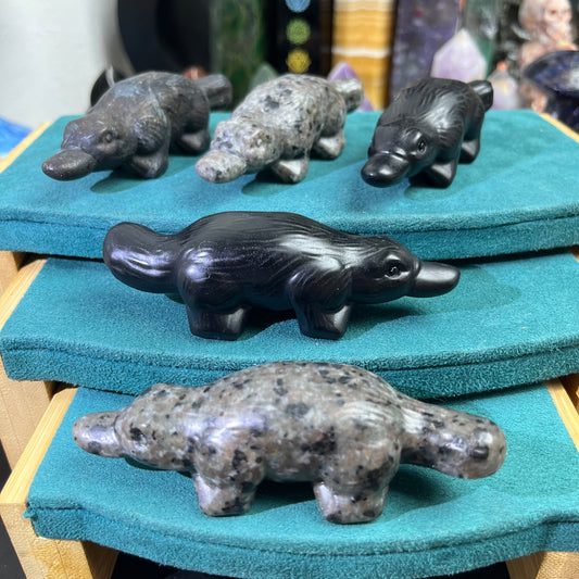 Platypus carvings