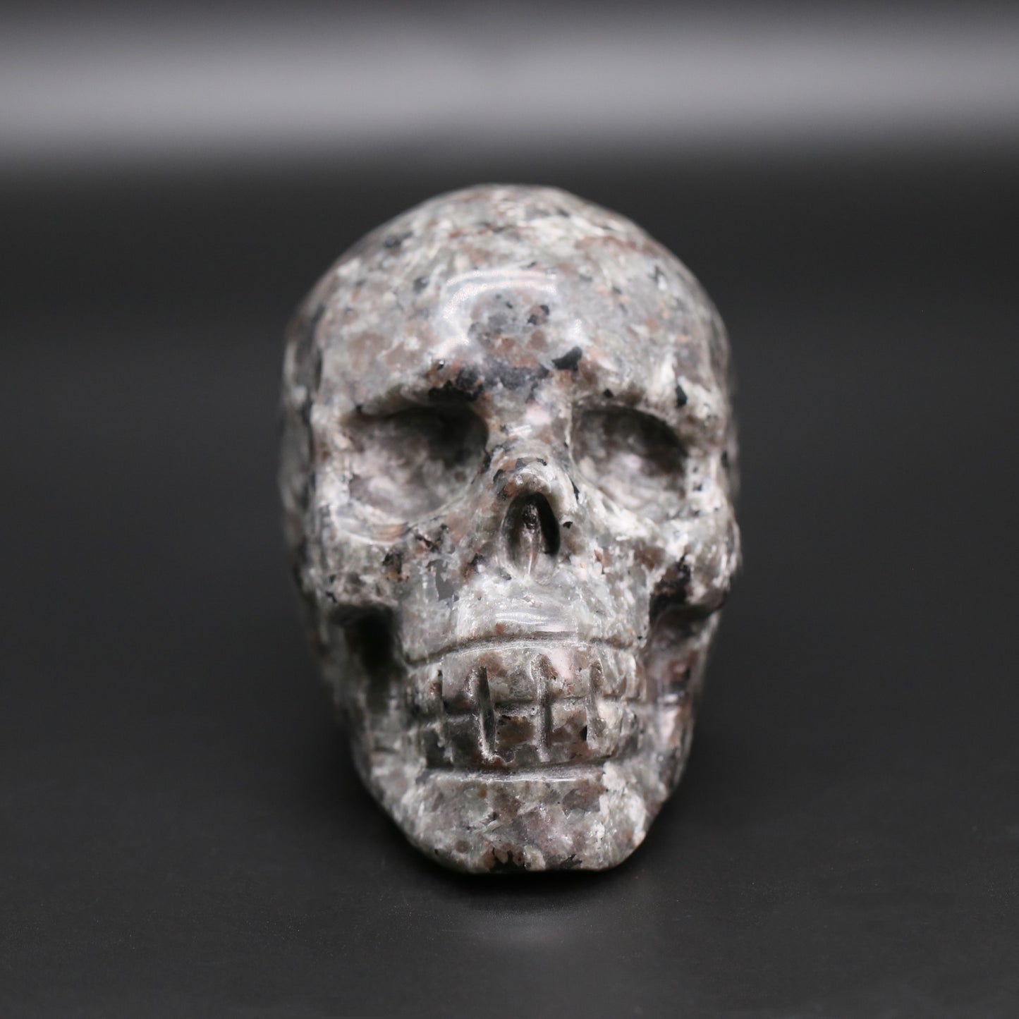 Yooperlite skull