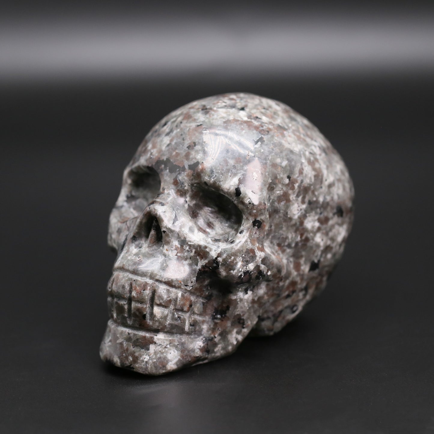 Yooperlite skull