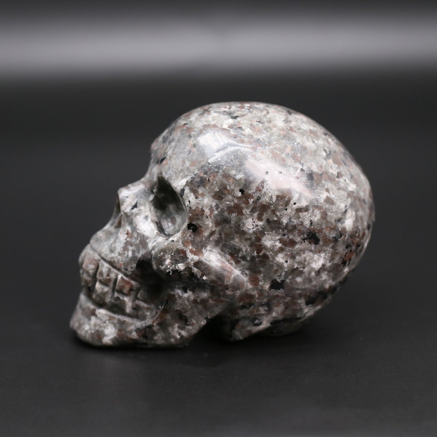 Yooperlite skull