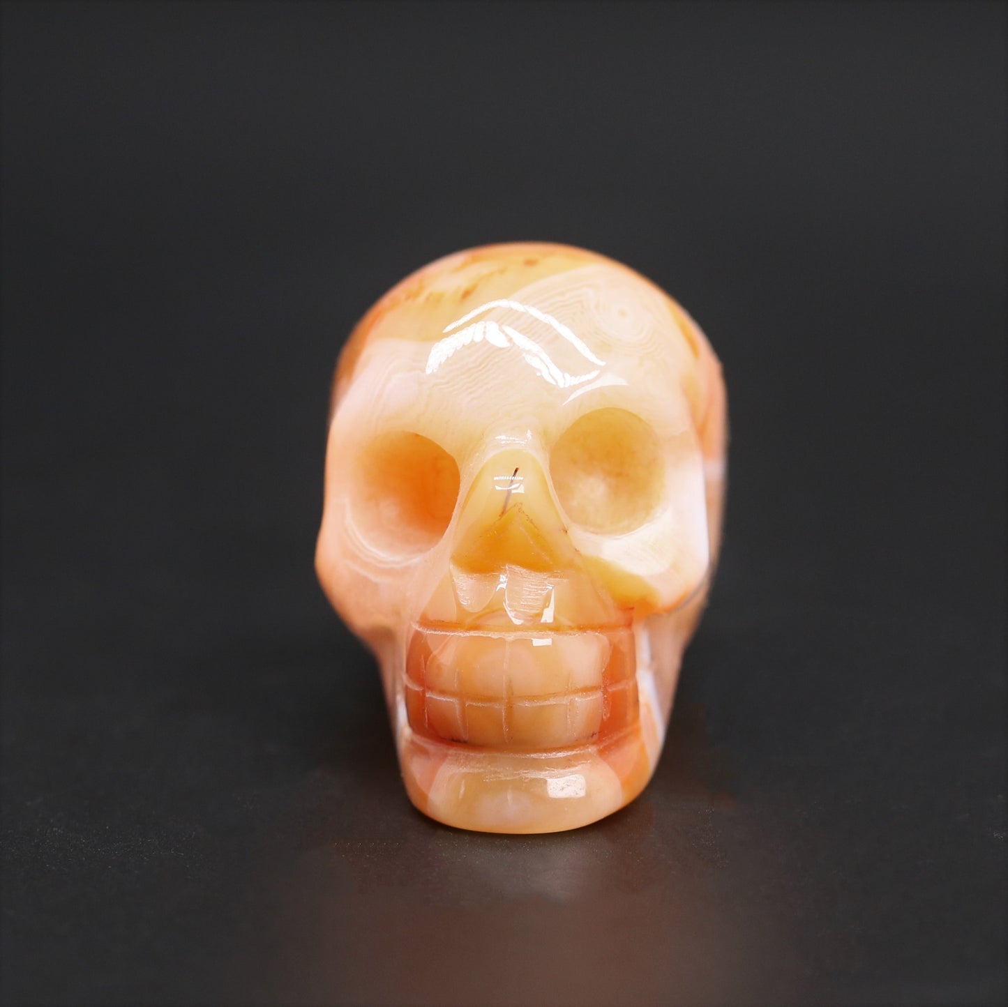 Sardonyx skull