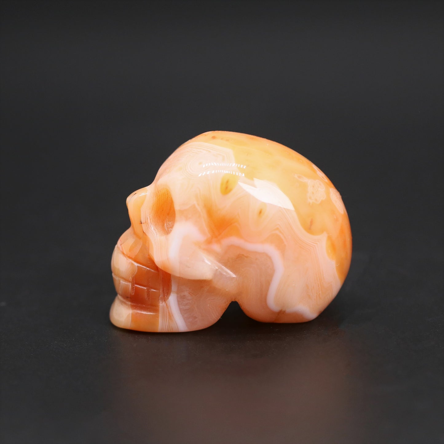 Sardonyx skull