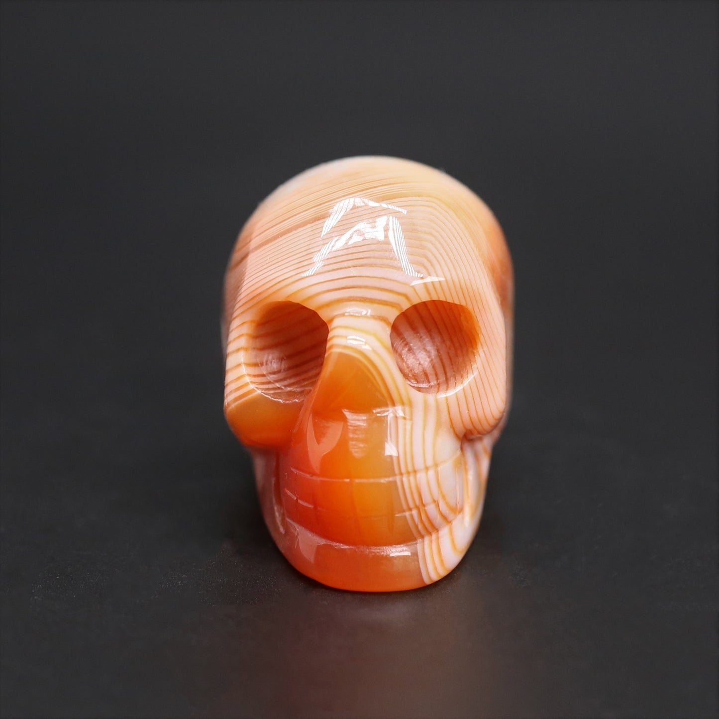 Sardonyx skull