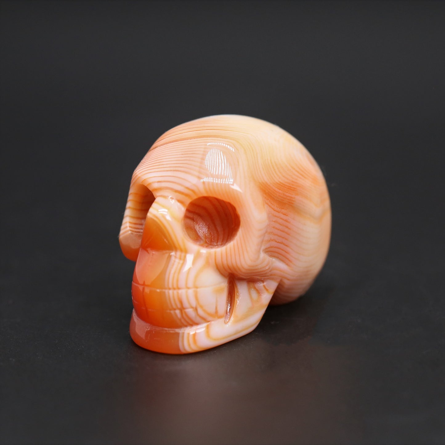 Sardonyx skull