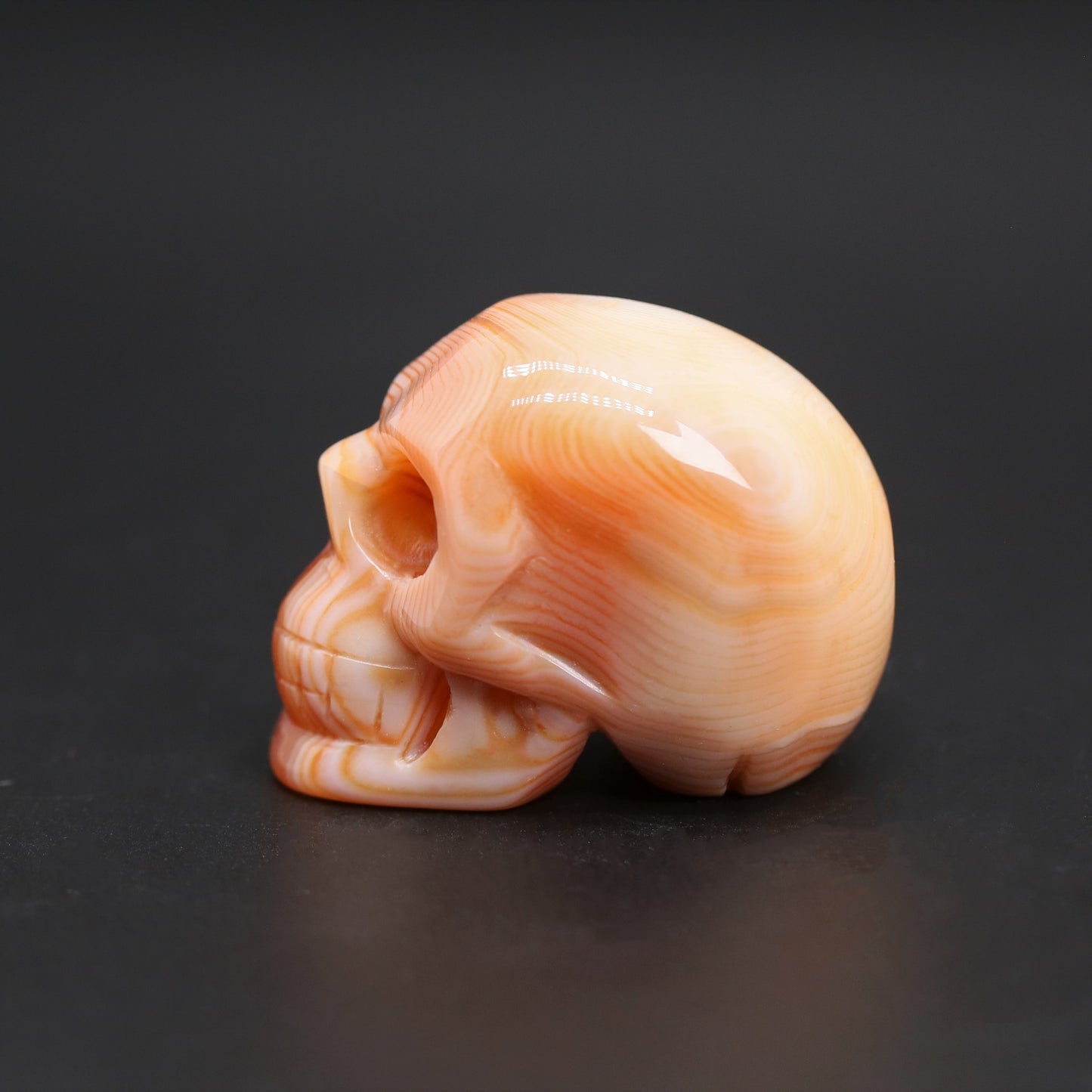 Sardonyx skull