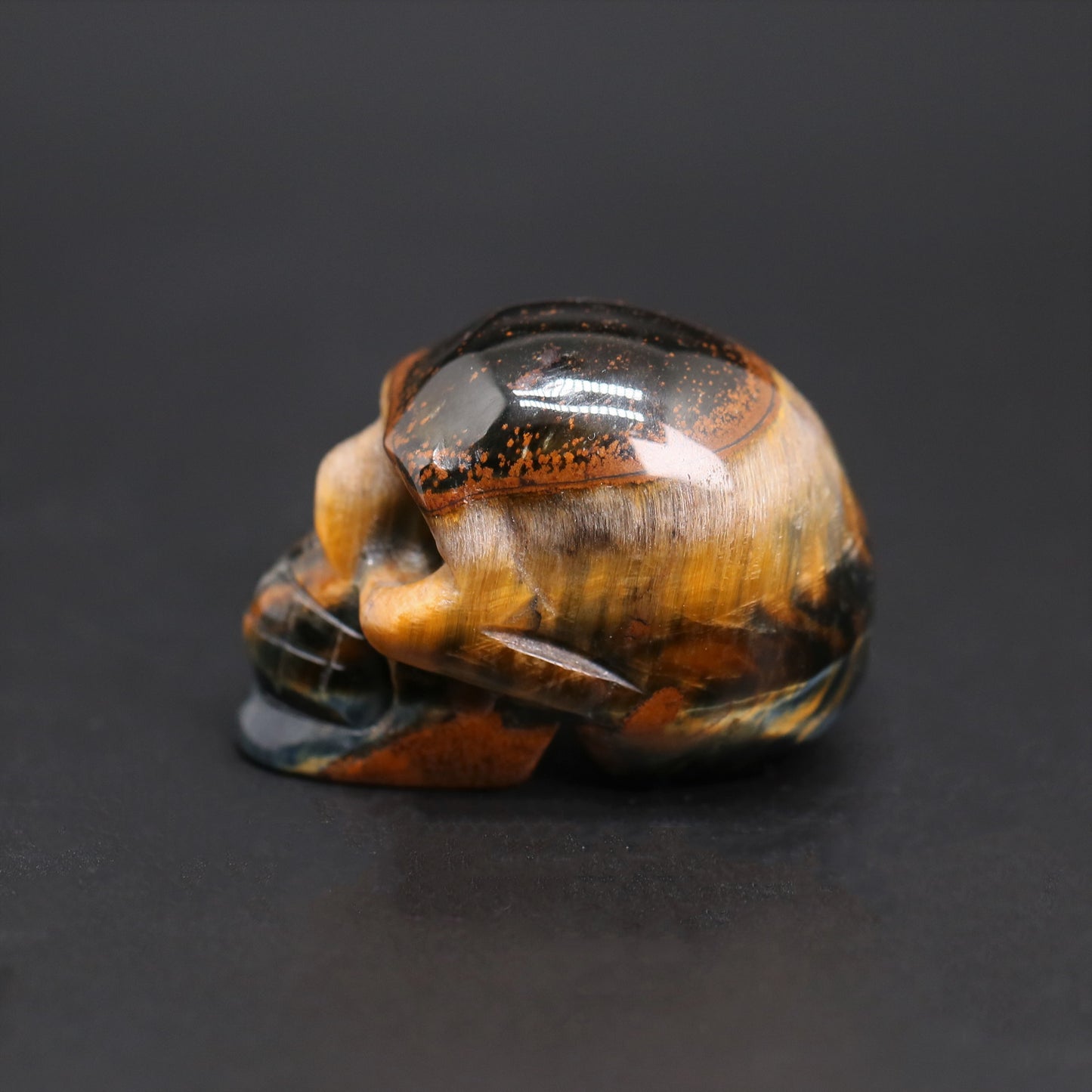 Tiger's eye skull