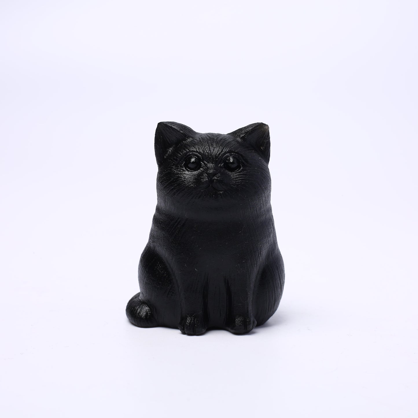 Obsidian cat